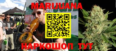 шишки Кинель