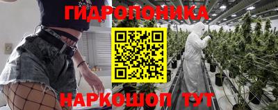 прущая мука Кингисепп