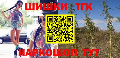 шишки Кинель