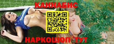 шишки Кинель