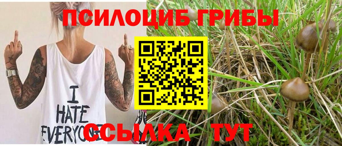 Галлюциногенные грибы мухоморы  Вход с VPN  Искитим 
