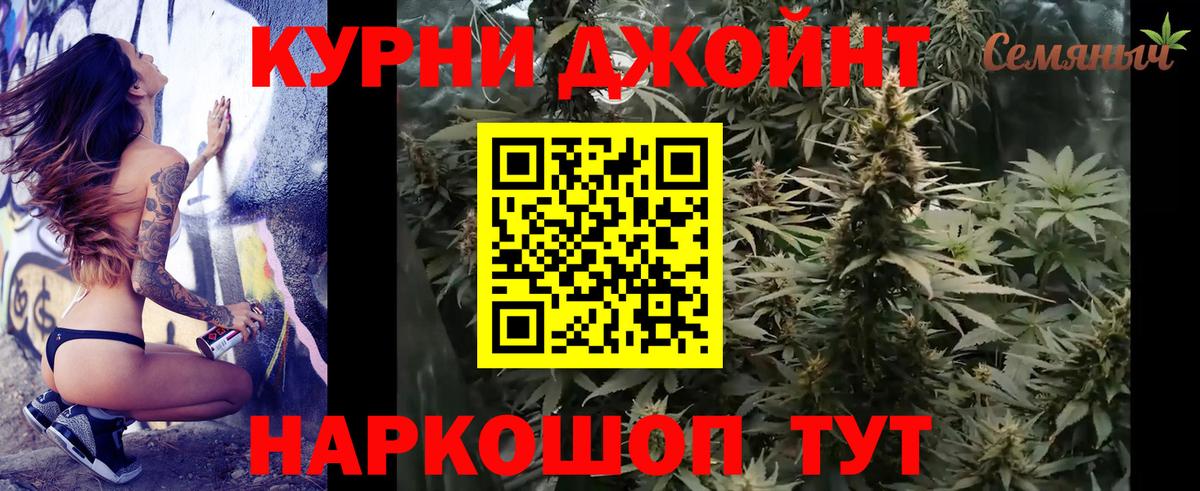 Конопля сатива Искитим